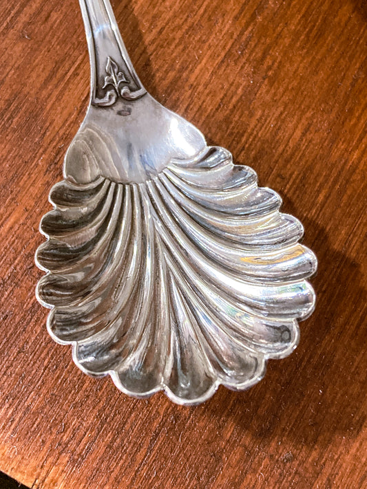 Antique Late 19th Century Stark & Forney Silver Plated Shell Shaped Sugar Spoon