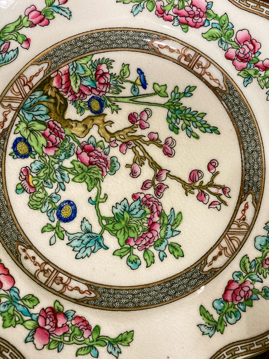 Twelve Antique Coalport England Indian Tree Bone China Luncheon Plates