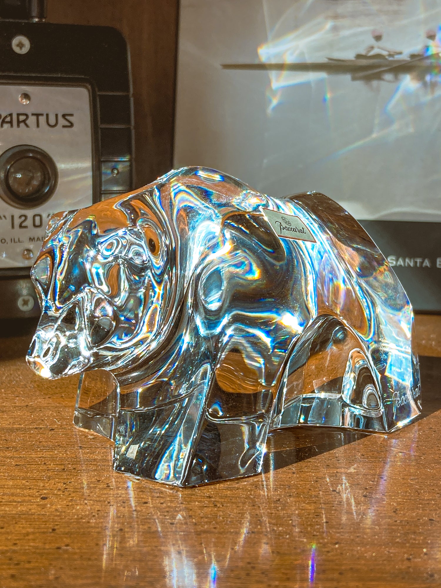 Crystal bear figurine on a wooden surface with camera and book in background. Baccarat Crystal Clear Oursons Wall Street Bear Paperweight Sculpture
