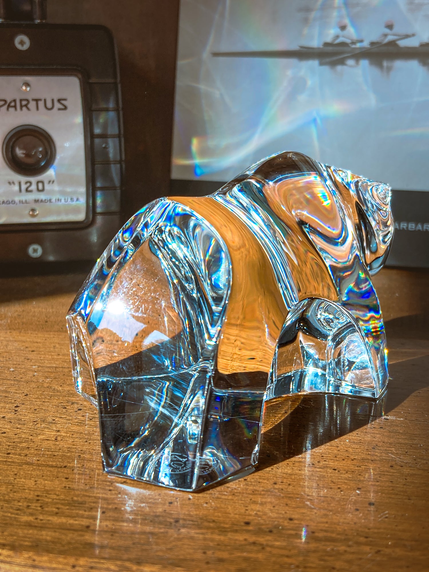 Crystal bear figurine on a wooden surface with camera and book in background. Baccarat Crystal Clear Oursons Wall Street Bear Paperweight Sculpture