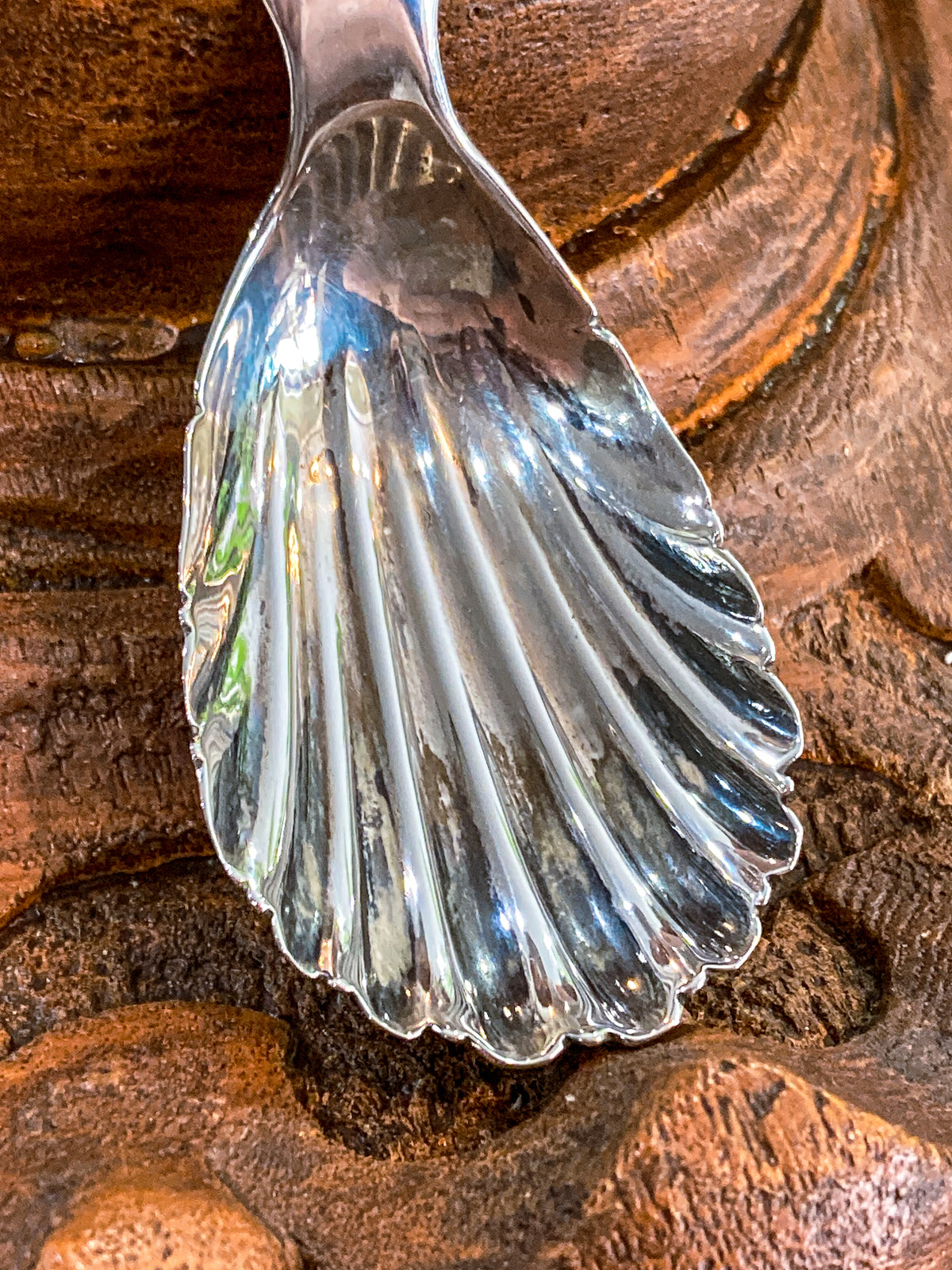 Antique 19th Century Coin Silver Shell Shaped Engraved Sugar Spoon