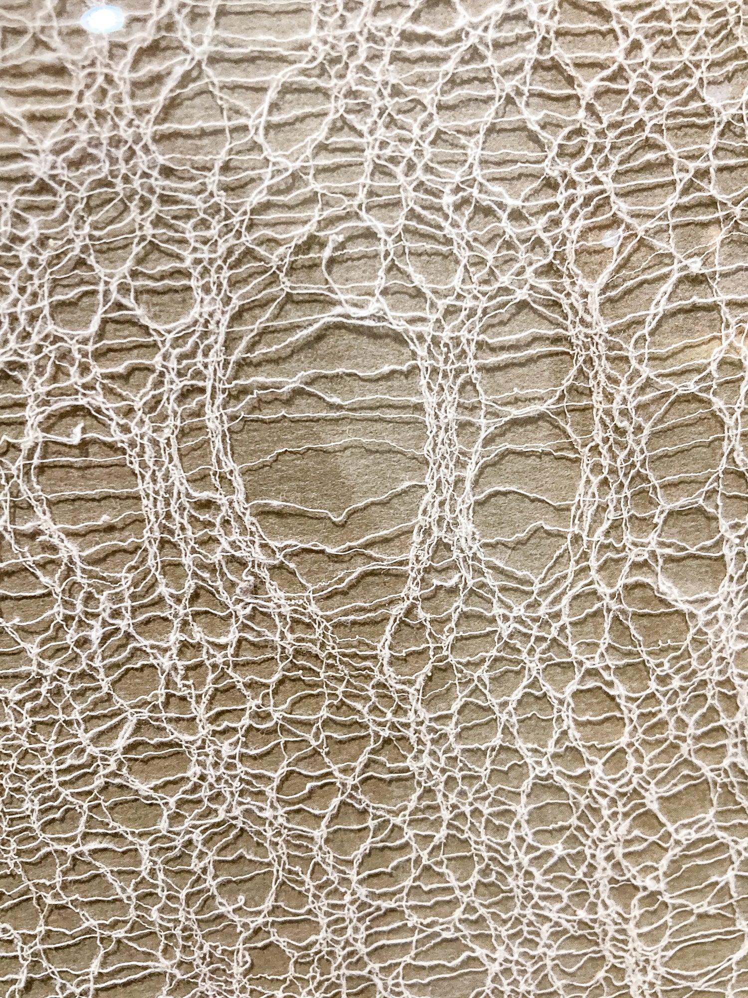 Antique 20th Century Handmade White Lace Panel Framed Fiber Art