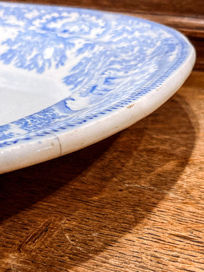 Antique Blue & White English Transferware Albion Porcelain Serving Platter Tray