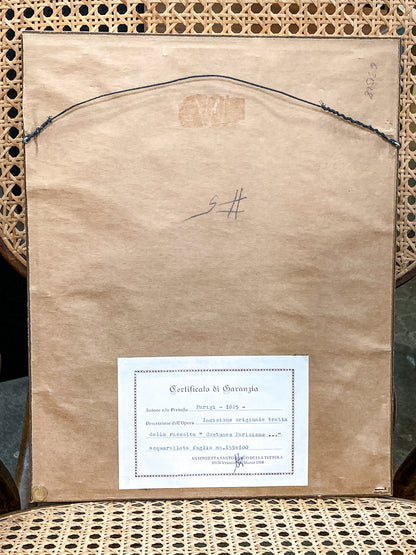 Framed Antique French 19th Century 1825 Parisian Fashion Plate Print