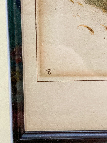 Antique J. S. Virtue "The 23rd-Royal Welsh Fusiliers" Framed Military Lithograph