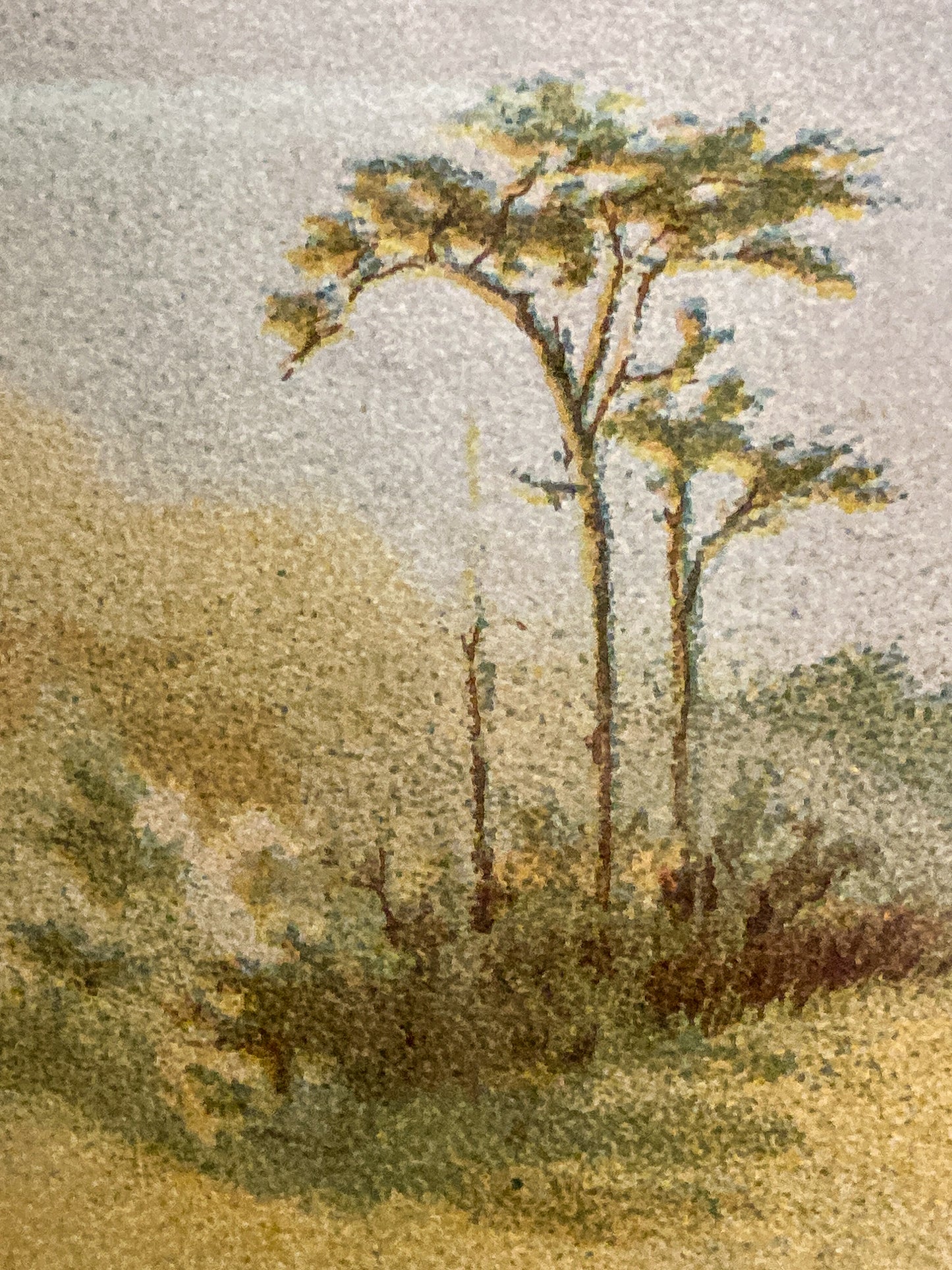 Antique J. S. Virtue "The 23rd-Royal Welsh Fusiliers" Framed Military Lithograph