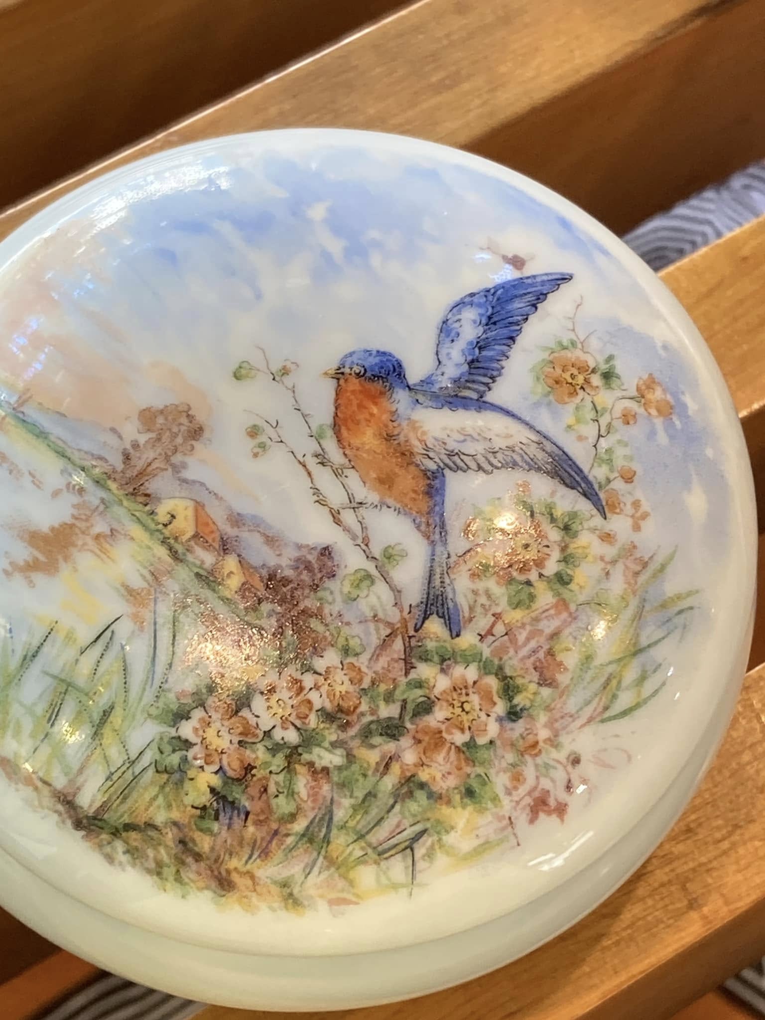 Antique Limoges France Blue Bird Scenic Round Lidded Porcelain Trinket Pillbox