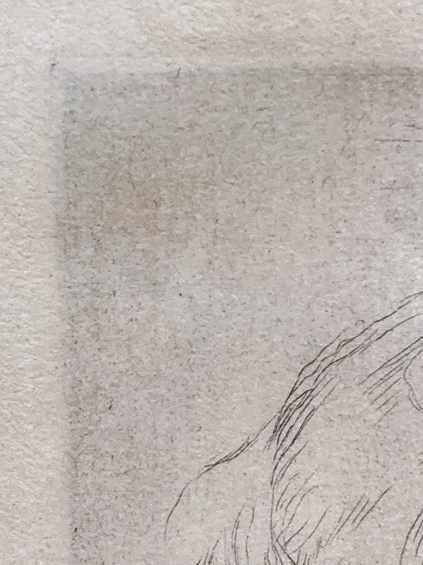 Antique Original Pierre Auguste Renoir (1841-1919) Berthe Morisot Framed Etching