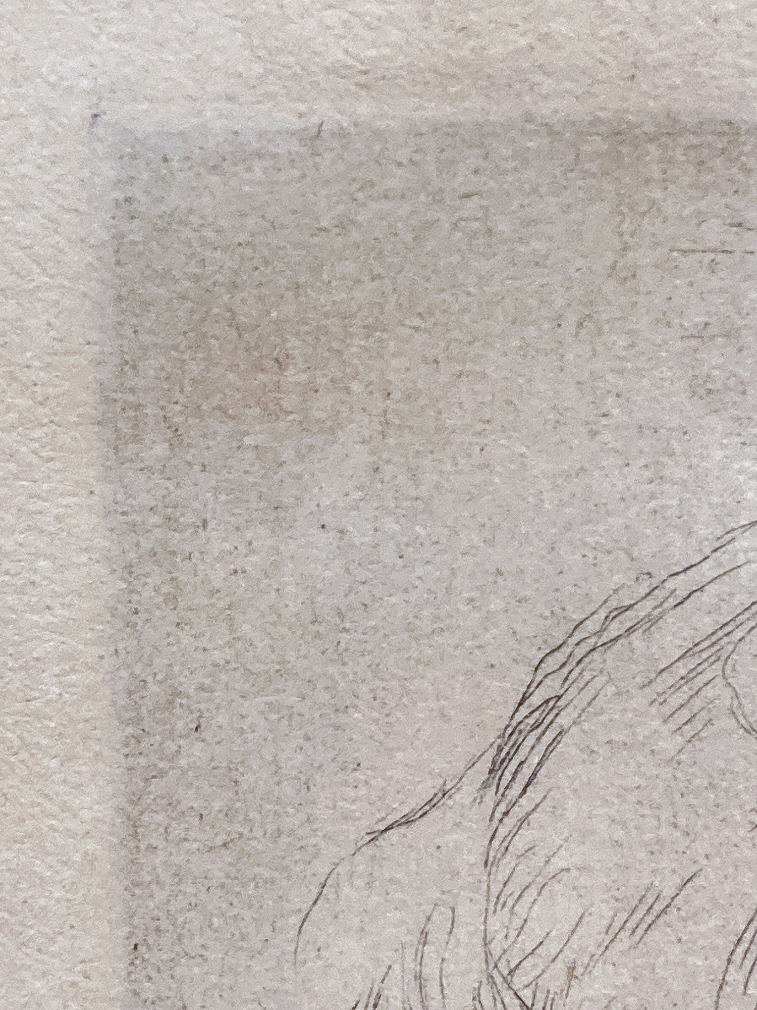 Antique Original Pierre Auguste Renoir (1841-1919) Berthe Morisot Framed Etching