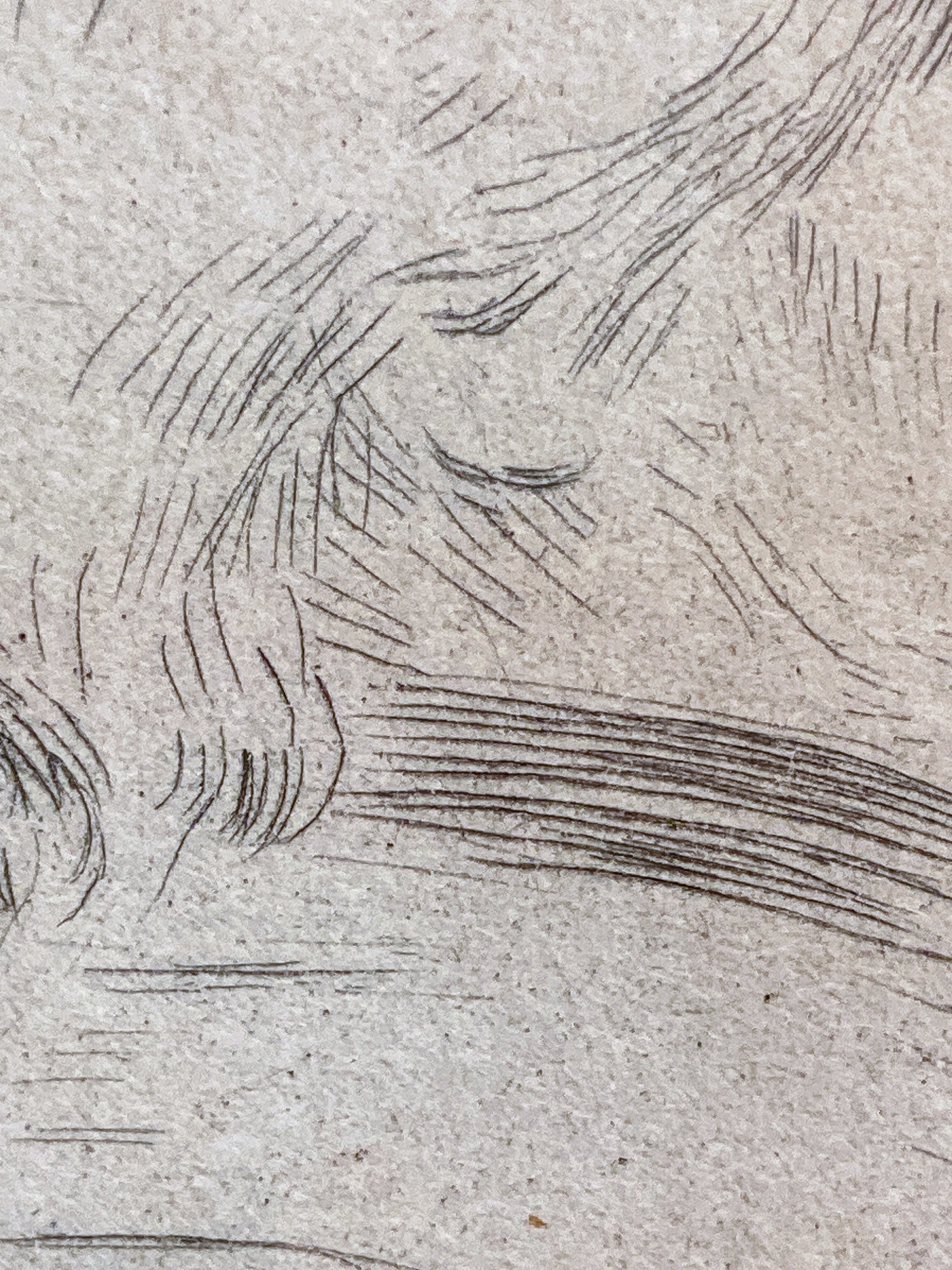 Antique Original Pierre Auguste Renoir (1841-1919) Berthe Morisot Framed Etching