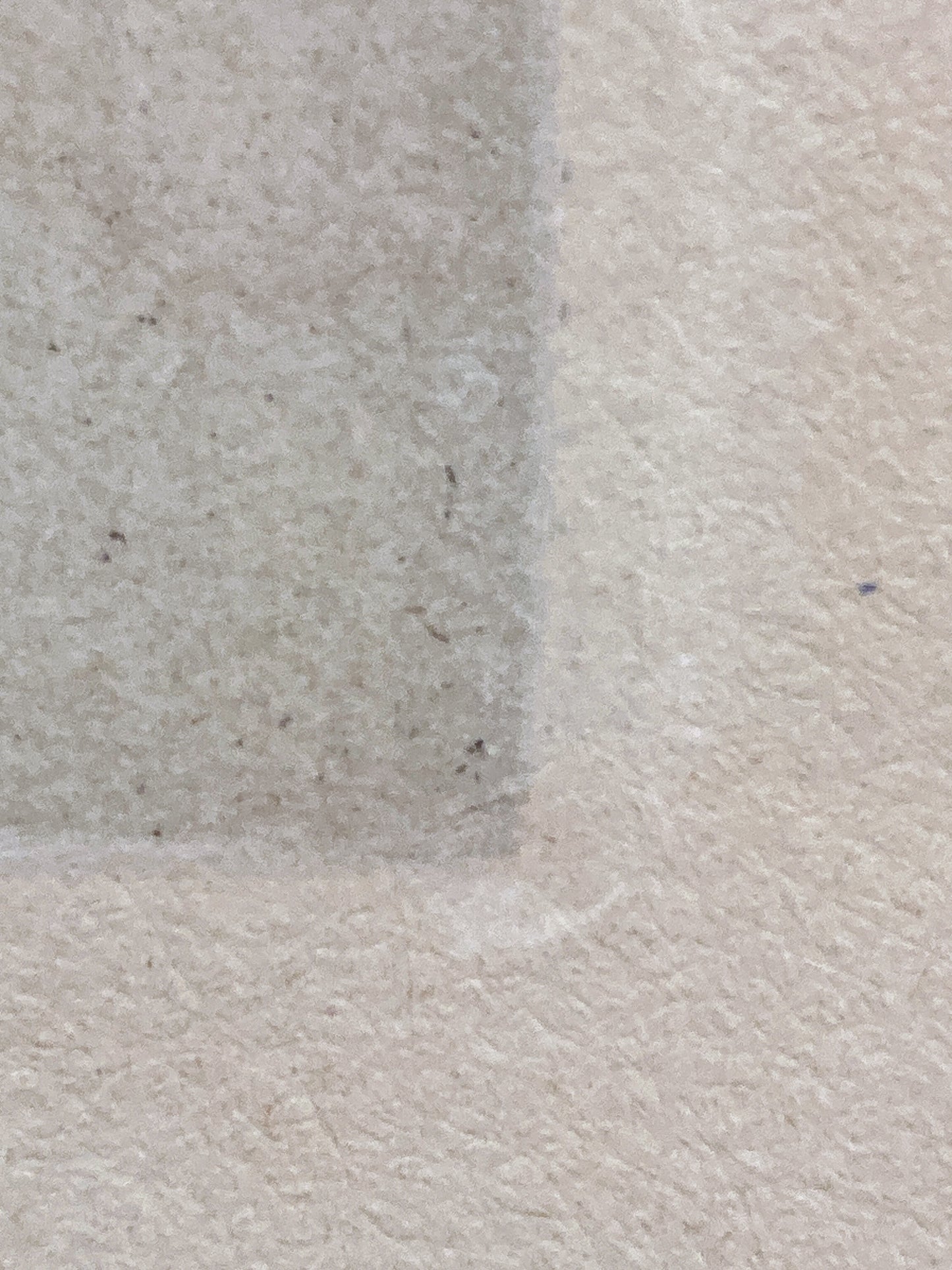 Antique Original Pierre Auguste Renoir (1841-1919) Berthe Morisot Framed Etching