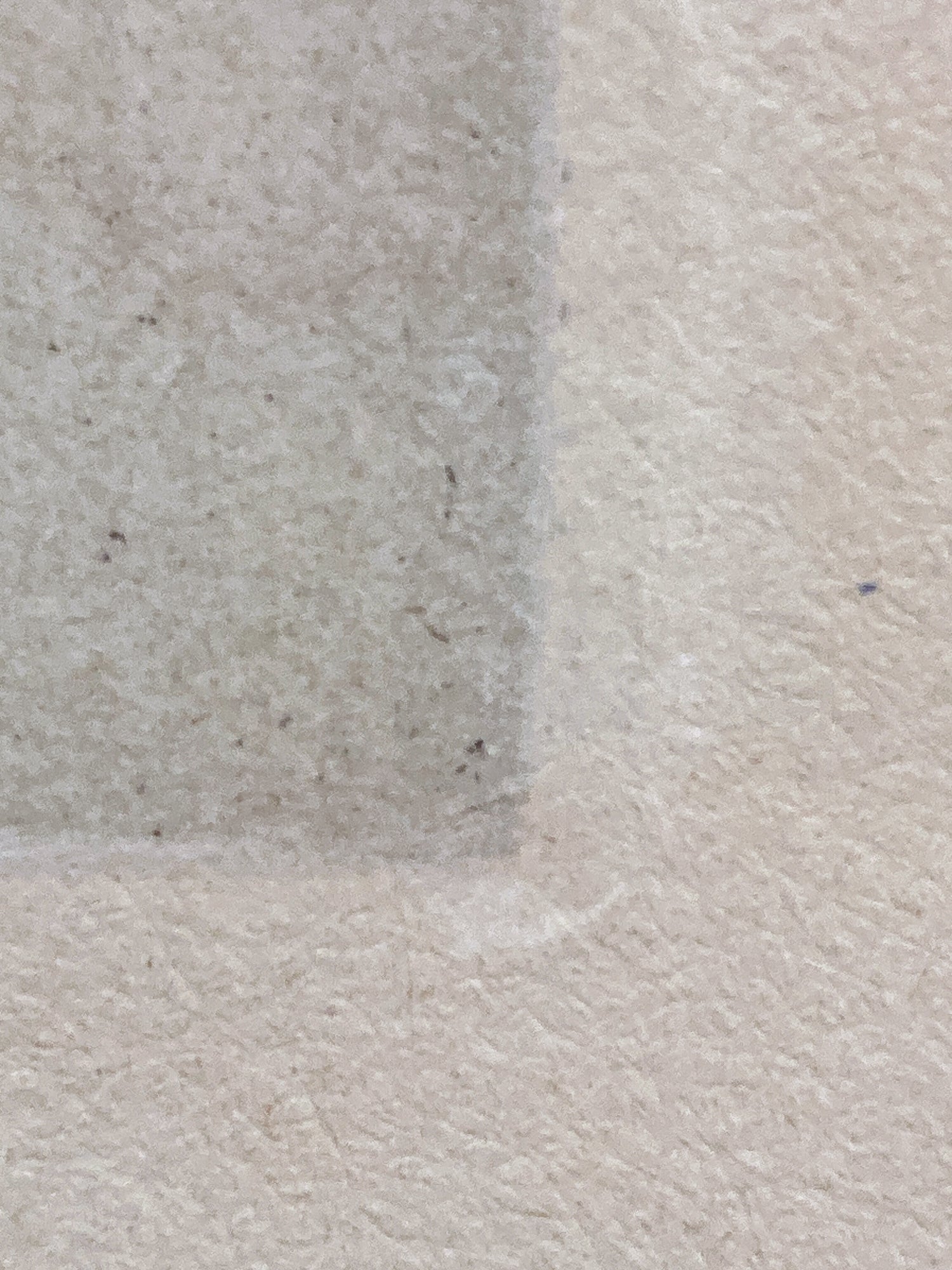 Antique Original Pierre Auguste Renoir (1841-1919) Berthe Morisot Framed Etching