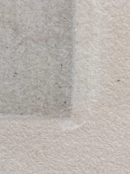 Antique Original Pierre Auguste Renoir (1841-1919) Berthe Morisot Framed Etching