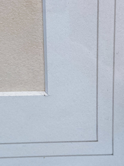 Antique Original Pierre Auguste Renoir (1841-1919) Berthe Morisot Framed Etching