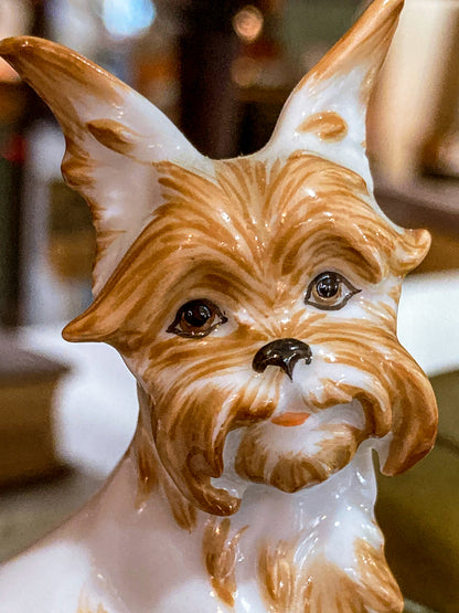 Antique Austrian Vienna Augarten Wein Royal Griffon Porcelain Dog Figurine