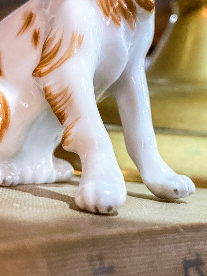 Antique Austrian Vienna Augarten Wein Royal Griffon Porcelain Dog Figurine