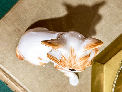 Antique Austrian Vienna Augarten Wein Royal Griffon Porcelain Dog Figurine