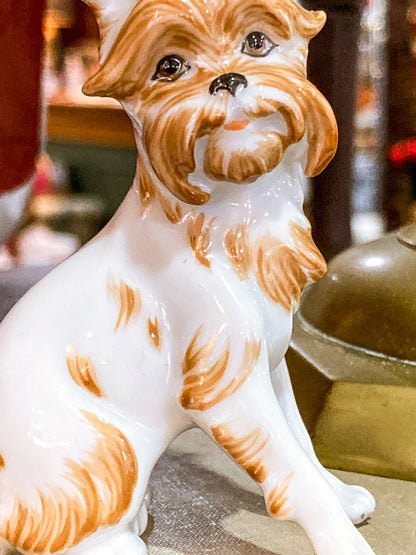 Antique Austrian Vienna Augarten Wein Royal Griffon Porcelain Dog Figurine