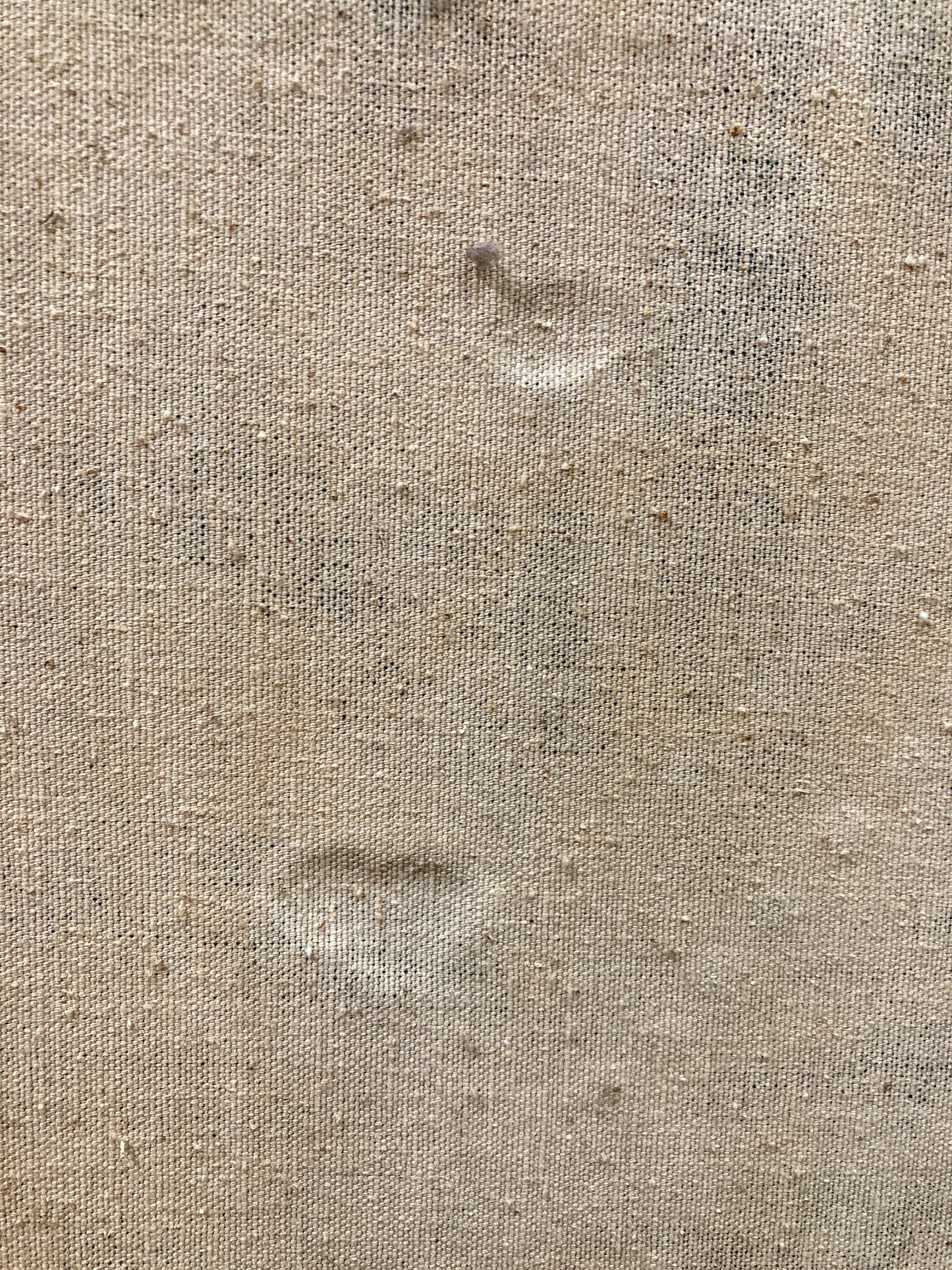 Vintage Mixed Media Portrait of Cleveland Bernice Kent Framed Canvas Painting