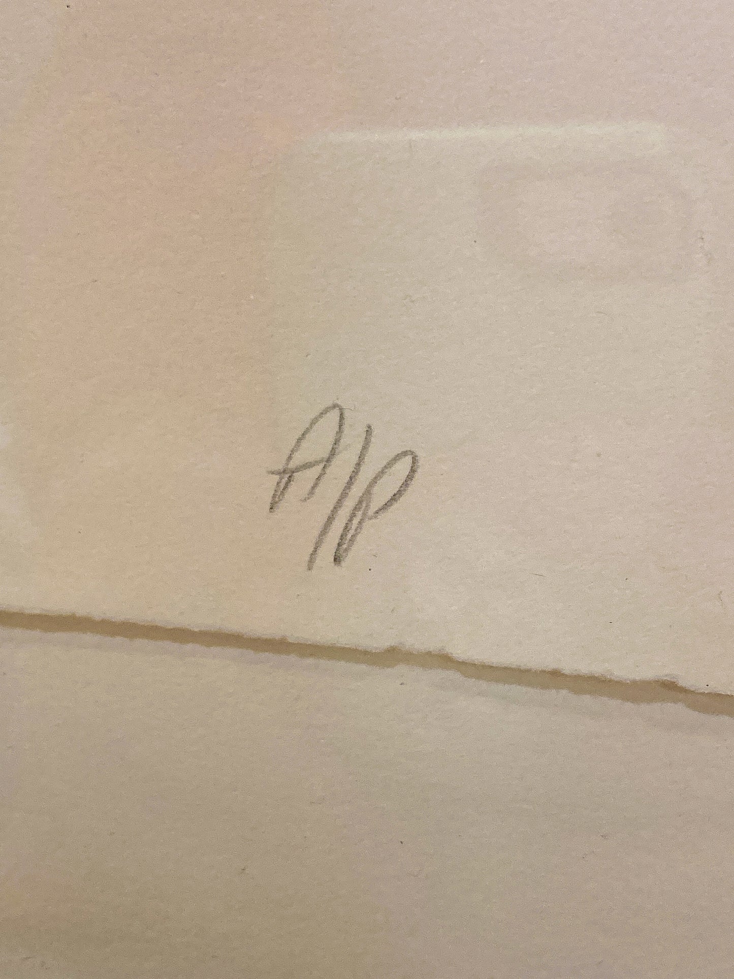 Cleveland Printmaker Phyllis Fannin Artist Proof Torso Framed Aquatint Art