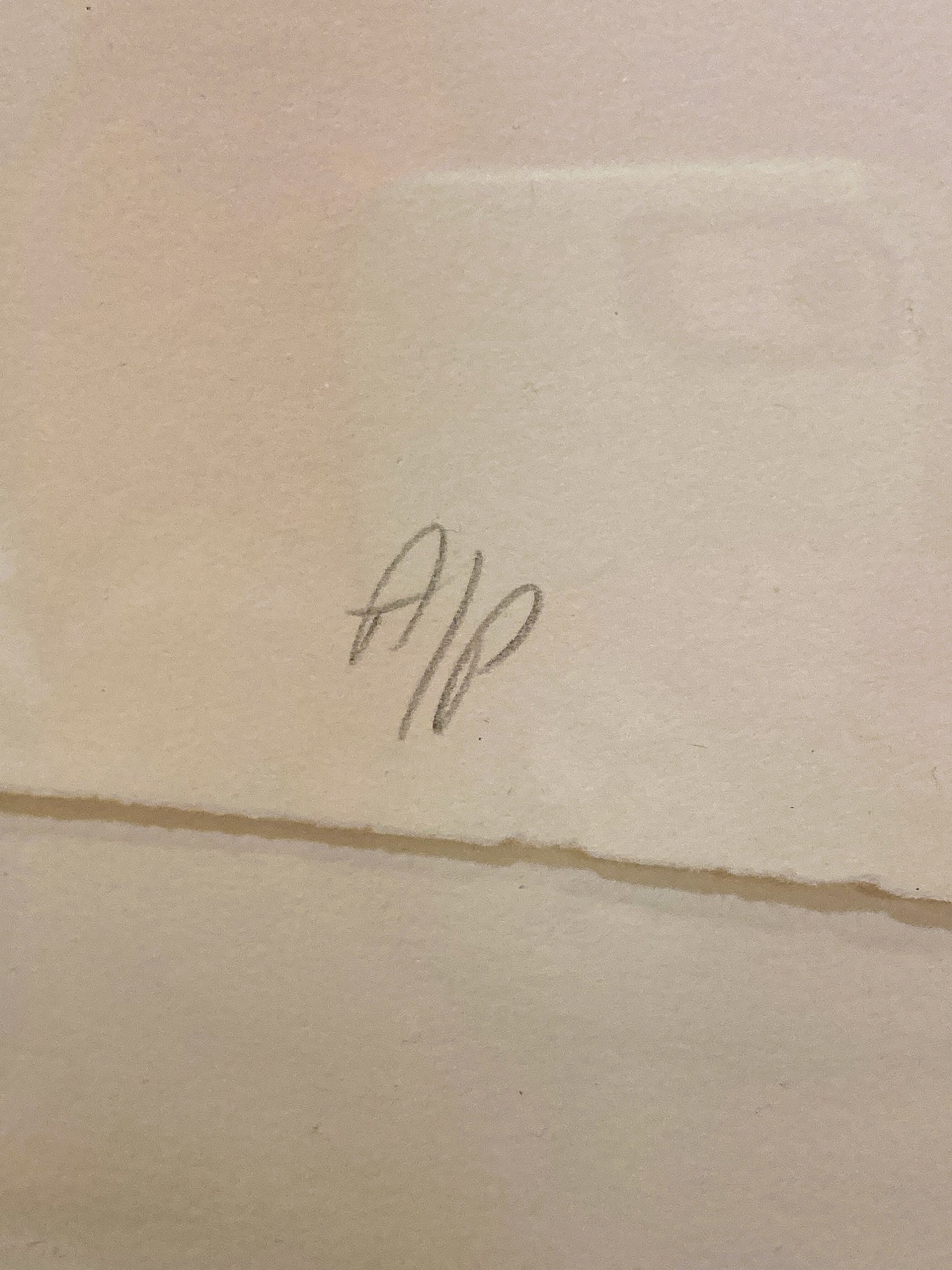 Cleveland Printmaker Phyllis Fannin Artist Proof Torso Framed Aquatint Art