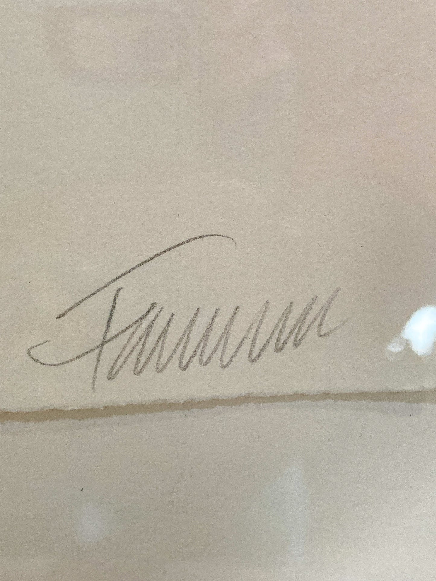 Cleveland Printmaker Phyllis Fannin Artist Proof Torso Framed Aquatint Art