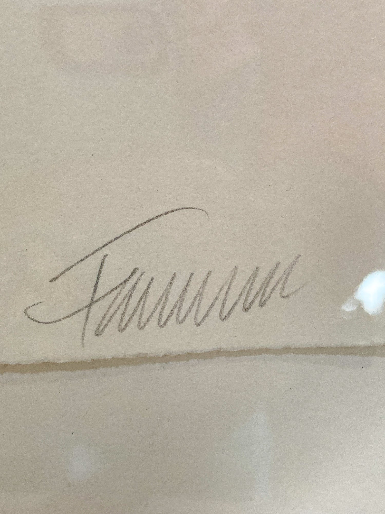 Cleveland Printmaker Phyllis Fannin Artist Proof Torso Framed Aquatint Art