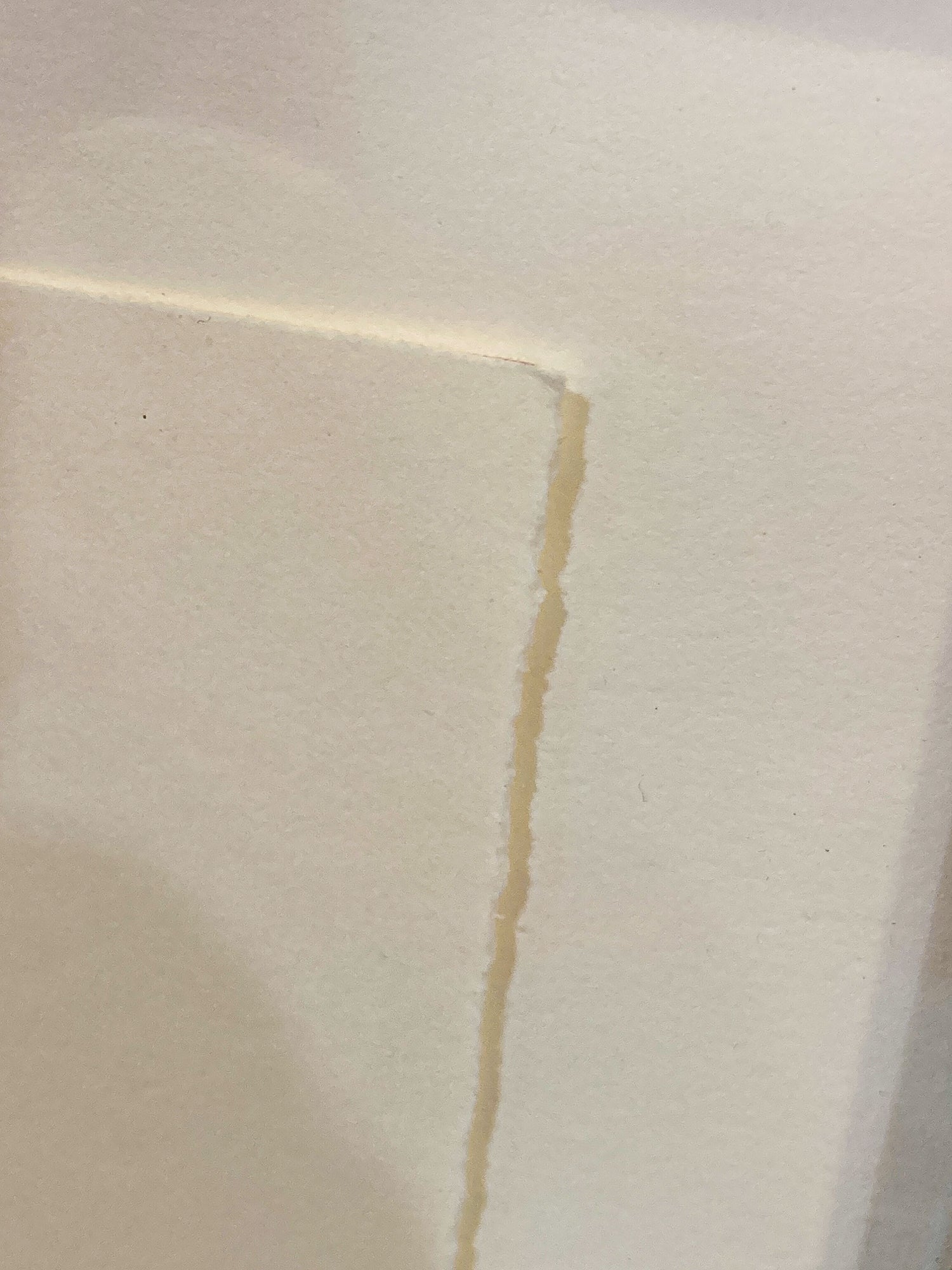 Cleveland Printmaker Phyllis Fannin Artist Proof Torso Framed Aquatint Art