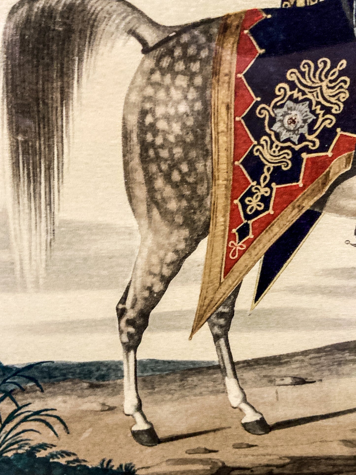 Four Vintage 19th Century Style Equine Royal Prussian Military Framed Color Lithographs