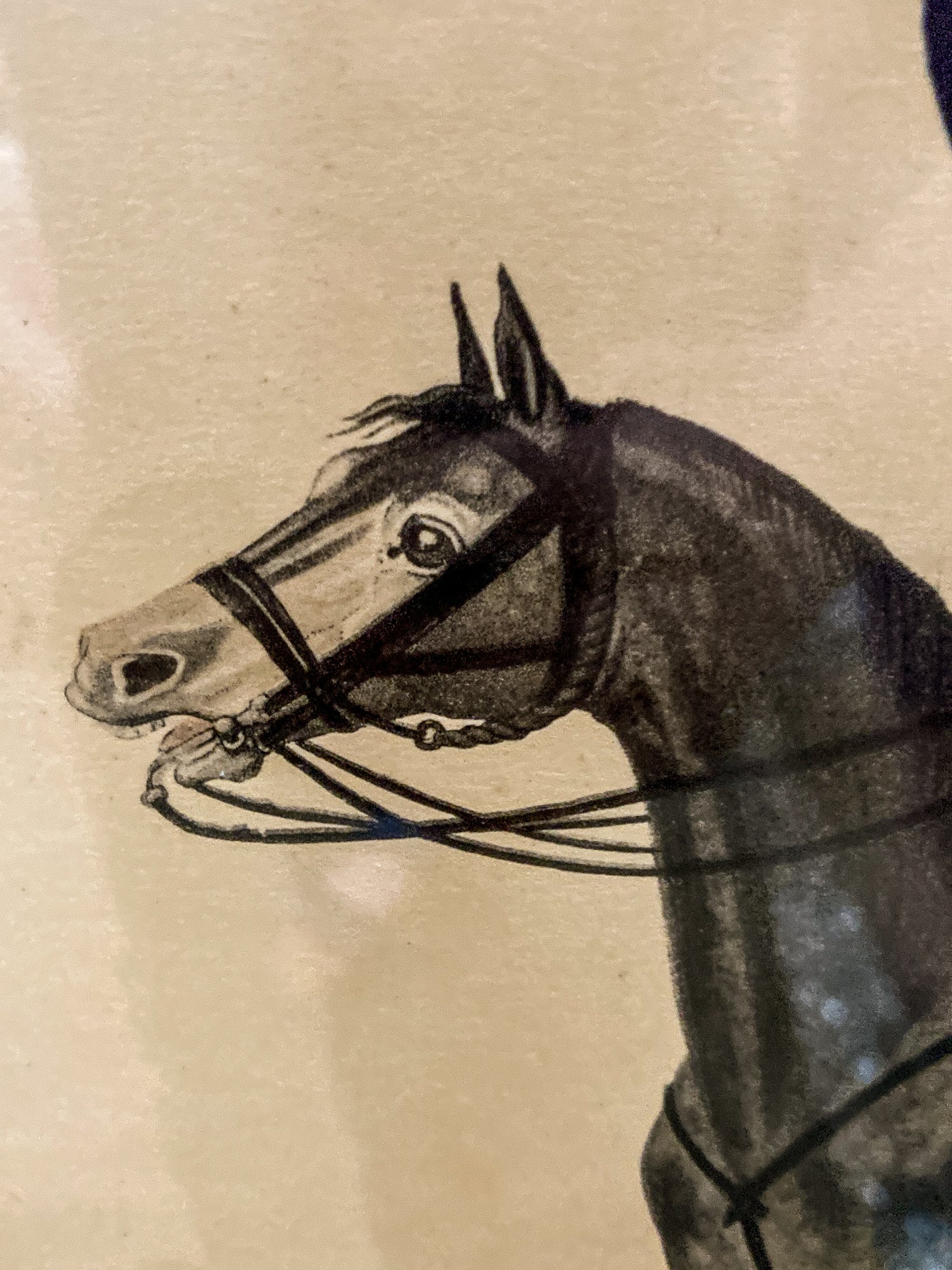 Four Vintage 19th Century Style Equine Royal Prussian Military Framed Color Lithographs