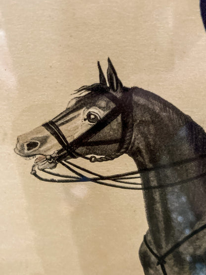 Four Vintage 19th Century Style Equine Royal Prussian Military Framed Color Lithographs