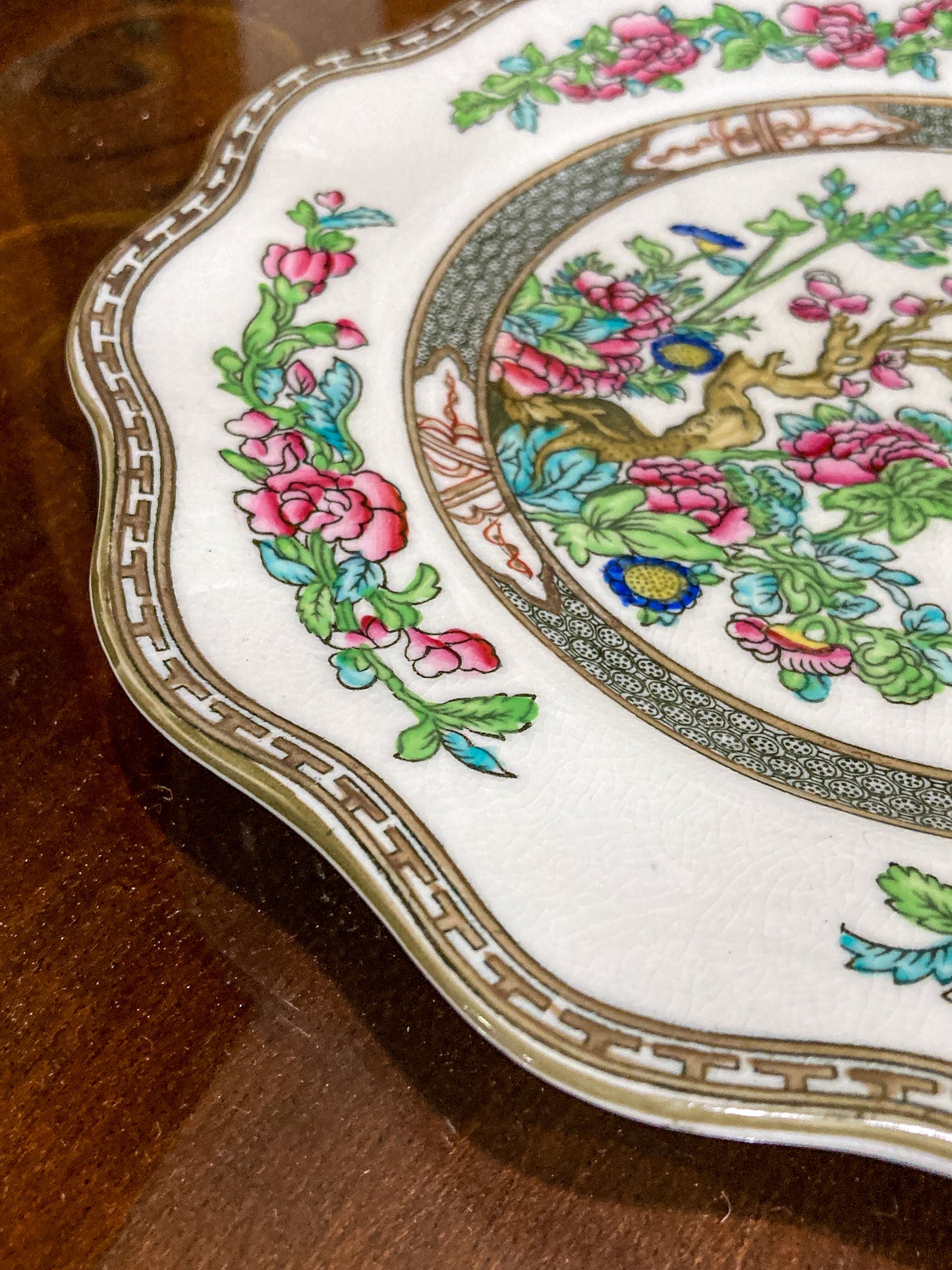 Twelve Antique Coalport England Indian Tree Bone China Luncheon Plates