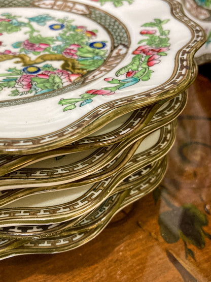 Twelve Antique Coalport England Indian Tree Bone China Luncheon Plates