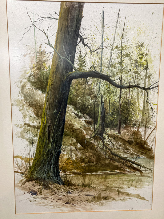Vintage 1960's Jim Hubbard Forest Tree Landscape Framed Watercolor Painting