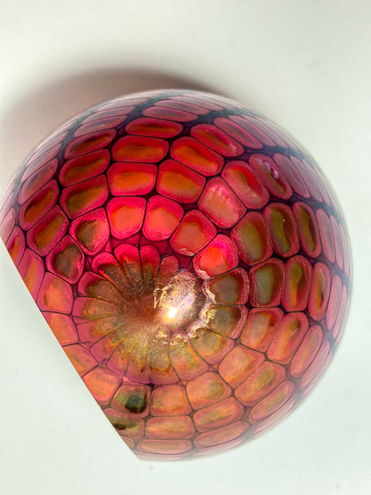 Vintage 1996 Tom Philabaum Handblown Reptile Skin Bubble Glass Paperweight