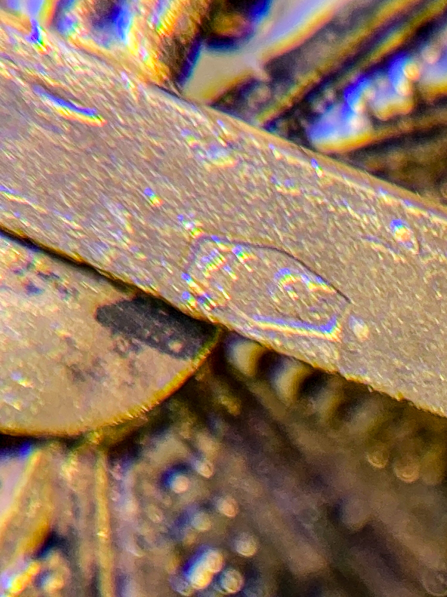 Vintage Enameled 800 Silver Filigree Butterfly Brooch Clip Earrings Set