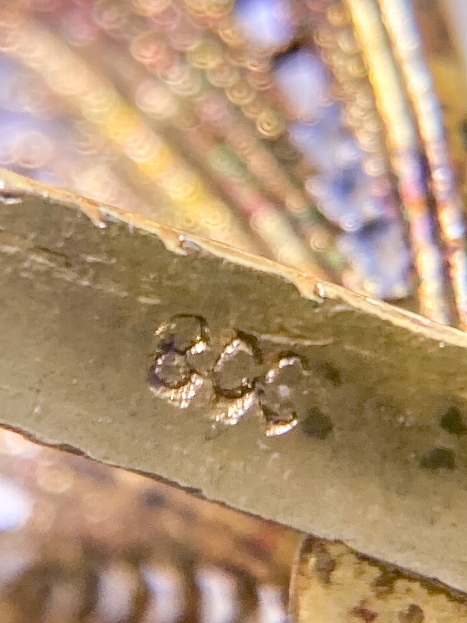 Vintage Enameled 800 Silver Filigree Butterfly Brooch Clip Earrings Set