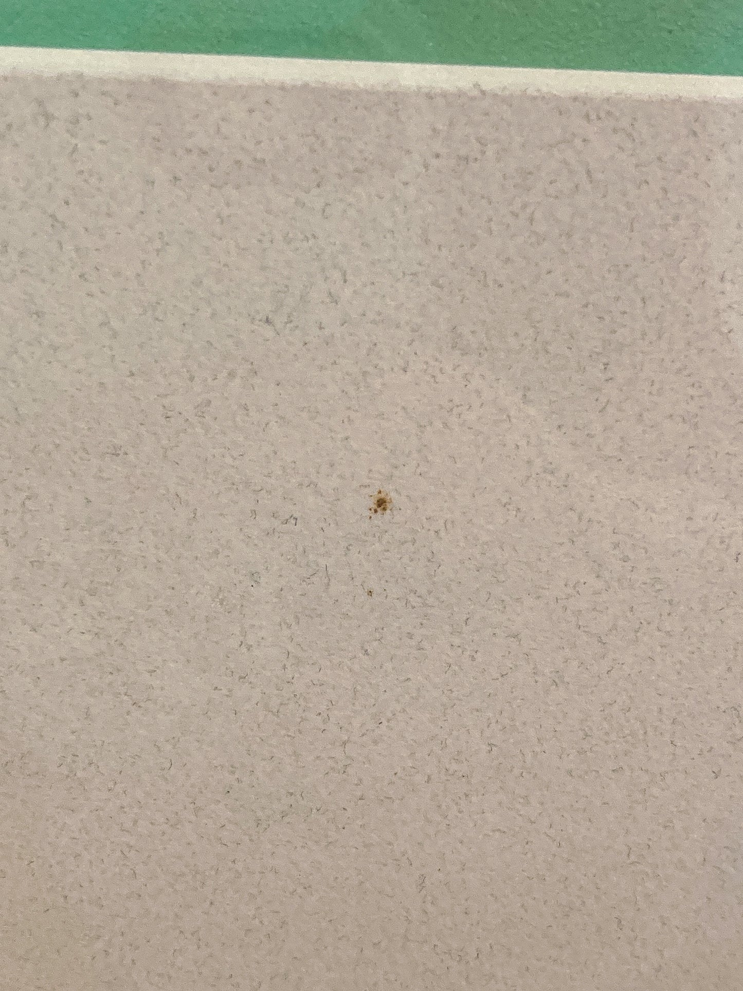 Vintage Kathleen McCarthy Abstract Nude Male Artist Proof Framed Aquatint