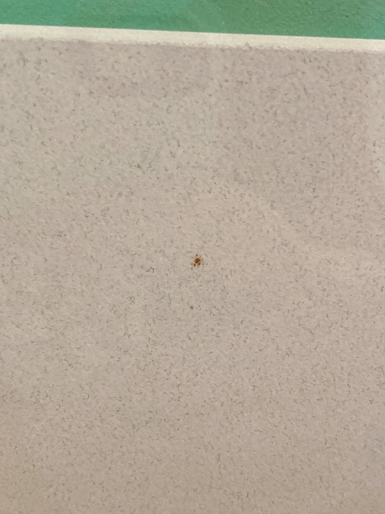 Vintage Kathleen McCarthy Abstract Nude Male Artist Proof Framed Aquatint