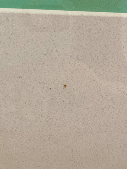 Vintage Kathleen McCarthy Abstract Nude Male Artist Proof Framed Aquatint