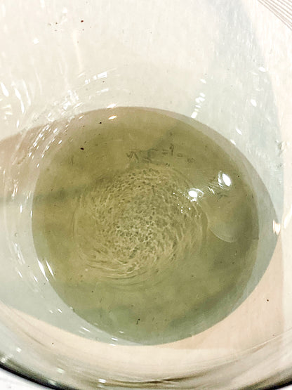 Vintage MCM Kaj Franck Finnish Fish Pattern Etched Green Gray Glass Bowl