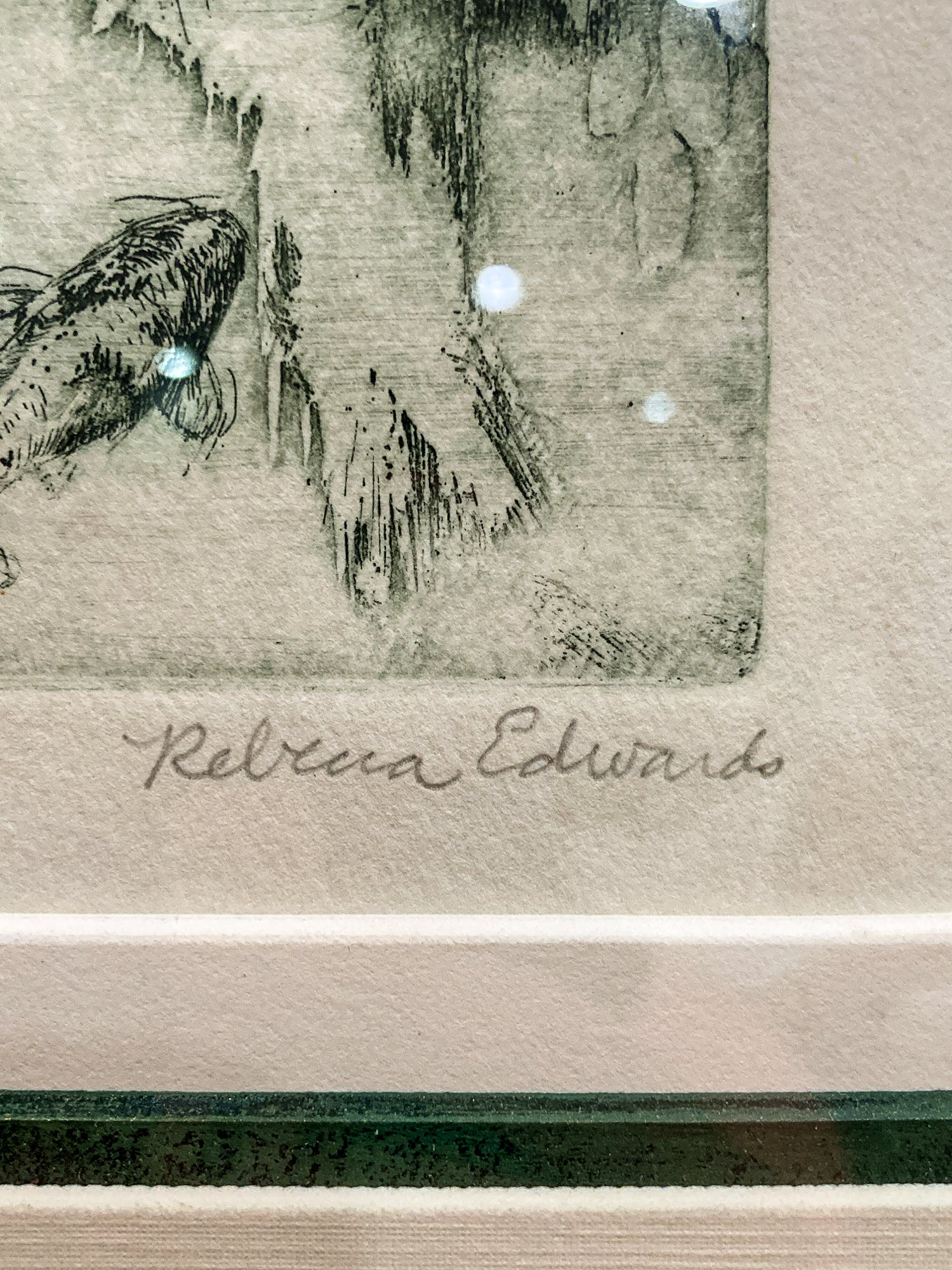 Vintage Rebecca Edwards Green Koi Fish Pond 8/25 Framed Aquatint Etching