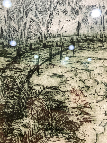 Vintage Rebecca Edwards Green Koi Fish Pond 8/25 Framed Aquatint Etching