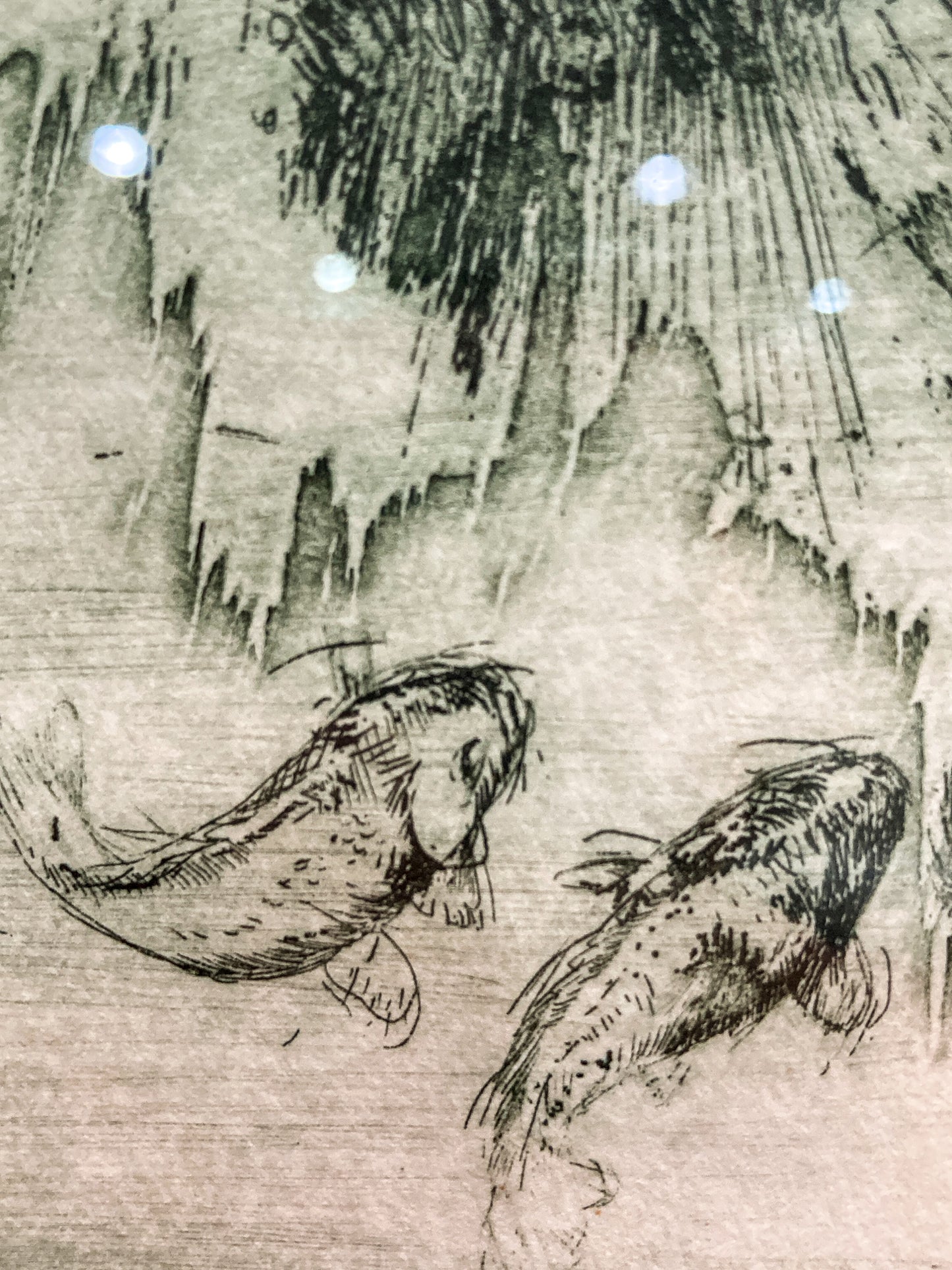 Vintage Rebecca Edwards Green Koi Fish Pond 8/25 Framed Aquatint Etching