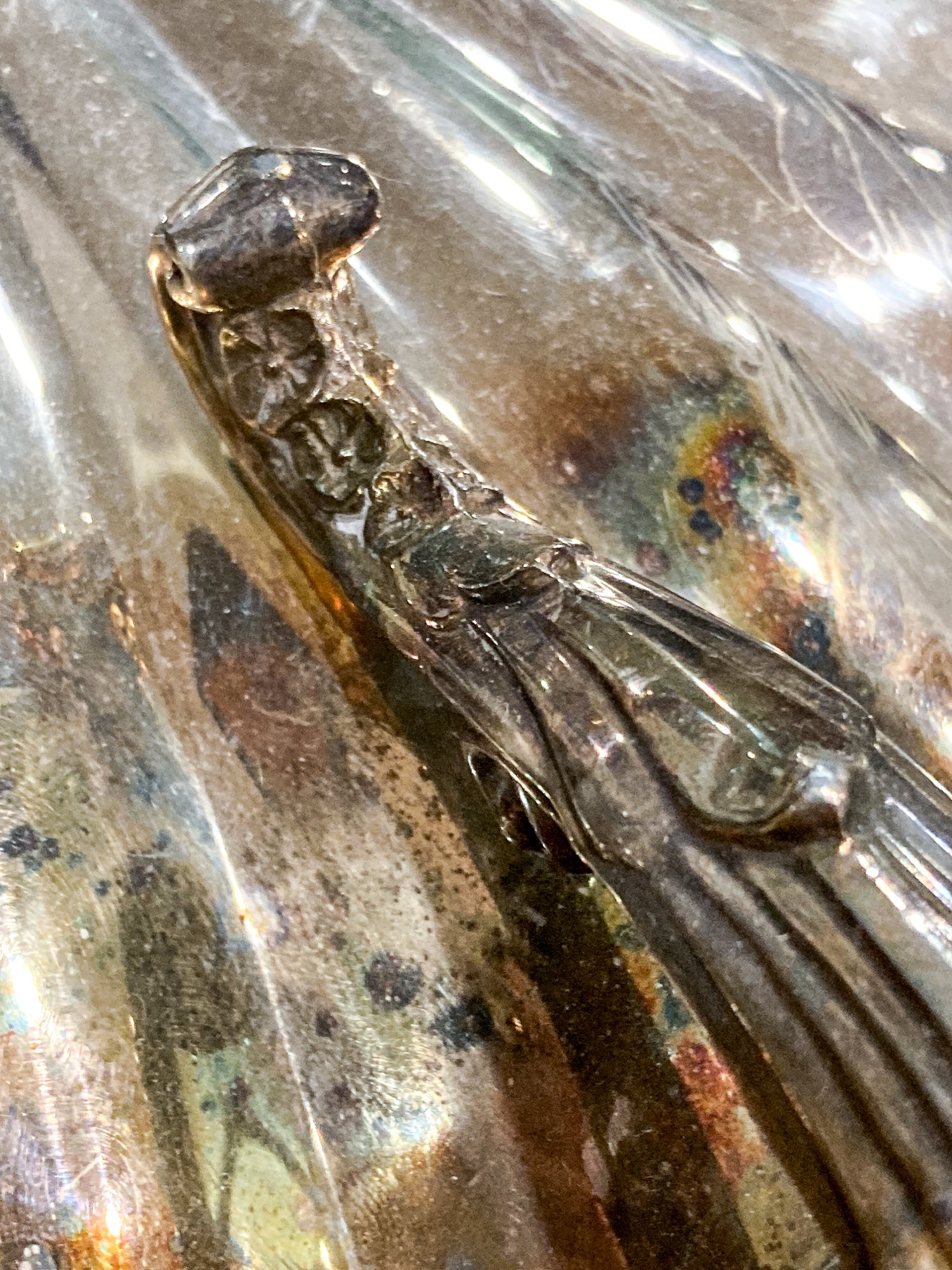 Vintage Regency Style Silver Plated Lidded Clamshell Footed Serving Dish