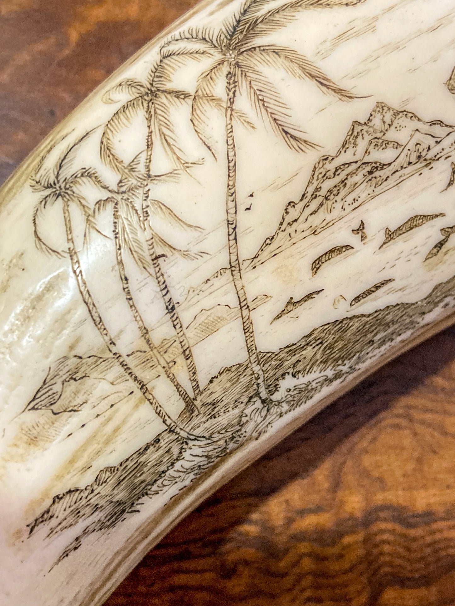 Vintage Scrimshaw Nautical Theme Resin Reproduction Faux Whale Tooth