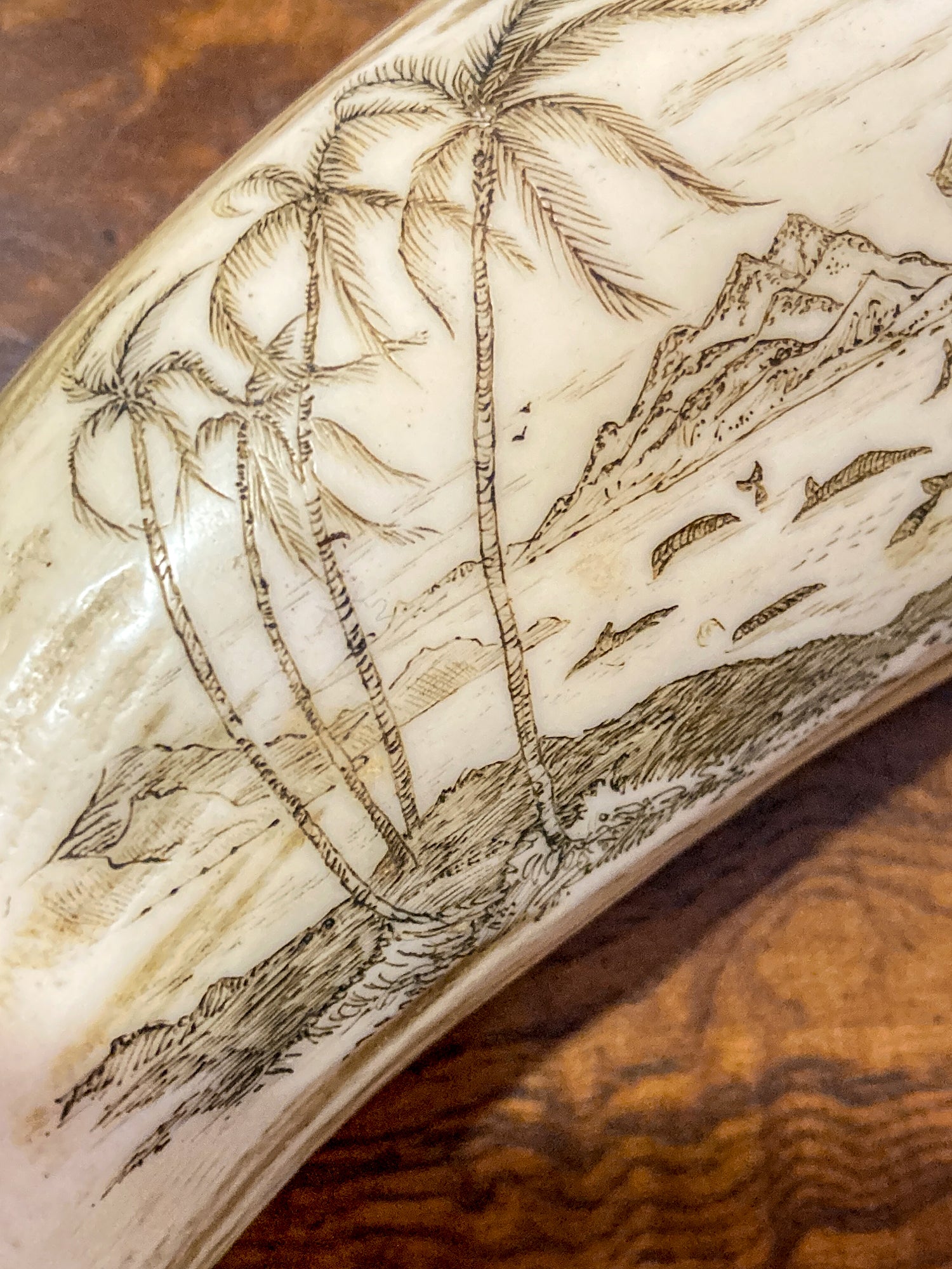 Vintage Scrimshaw Nautical Theme Resin Reproduction Faux Whale Tooth