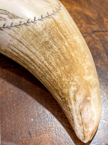 Vintage Scrimshaw Nautical Theme Resin Reproduction Faux Whale Tooth