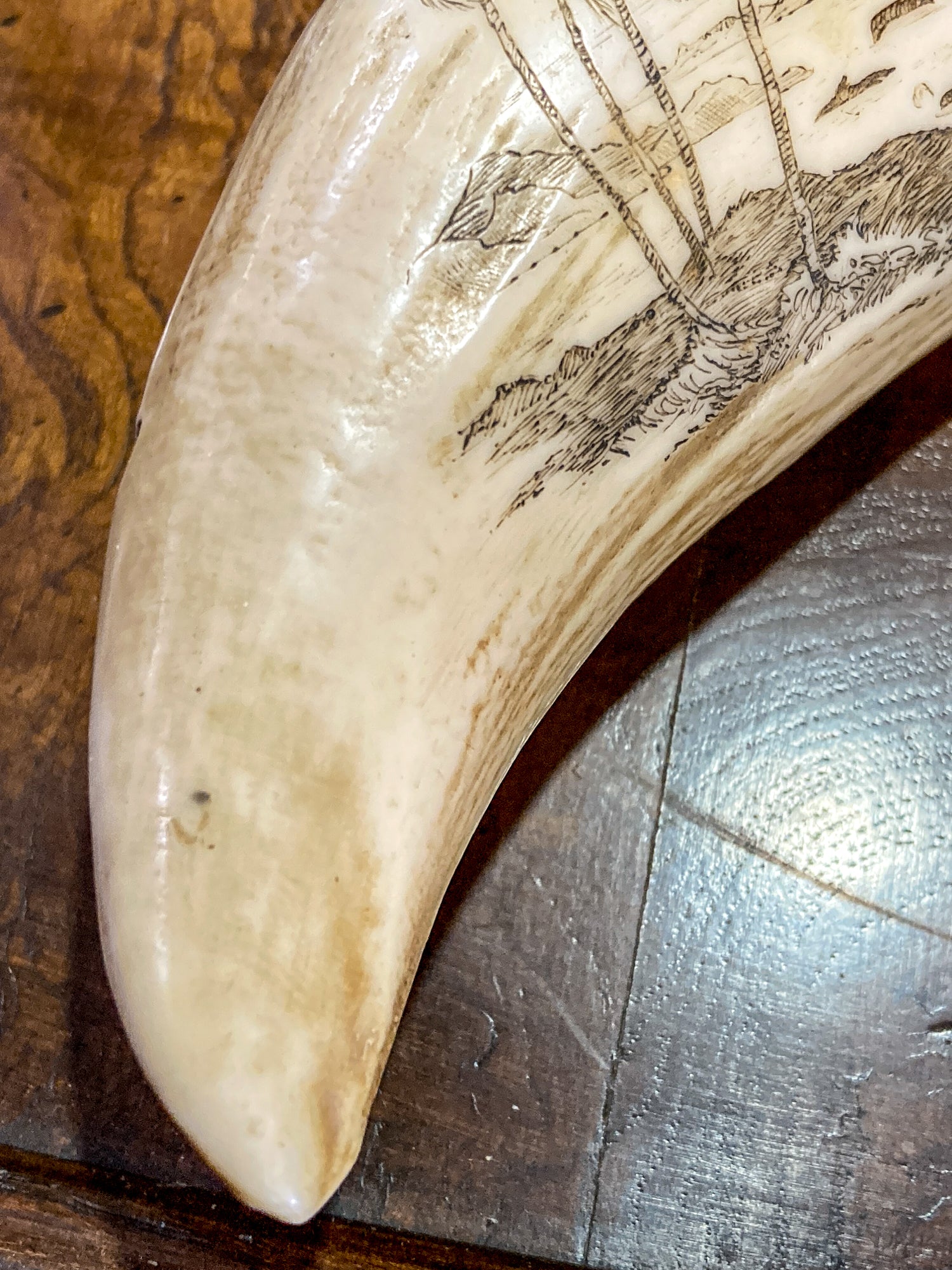 Vintage Scrimshaw Nautical Theme Resin Reproduction Faux Whale Tooth