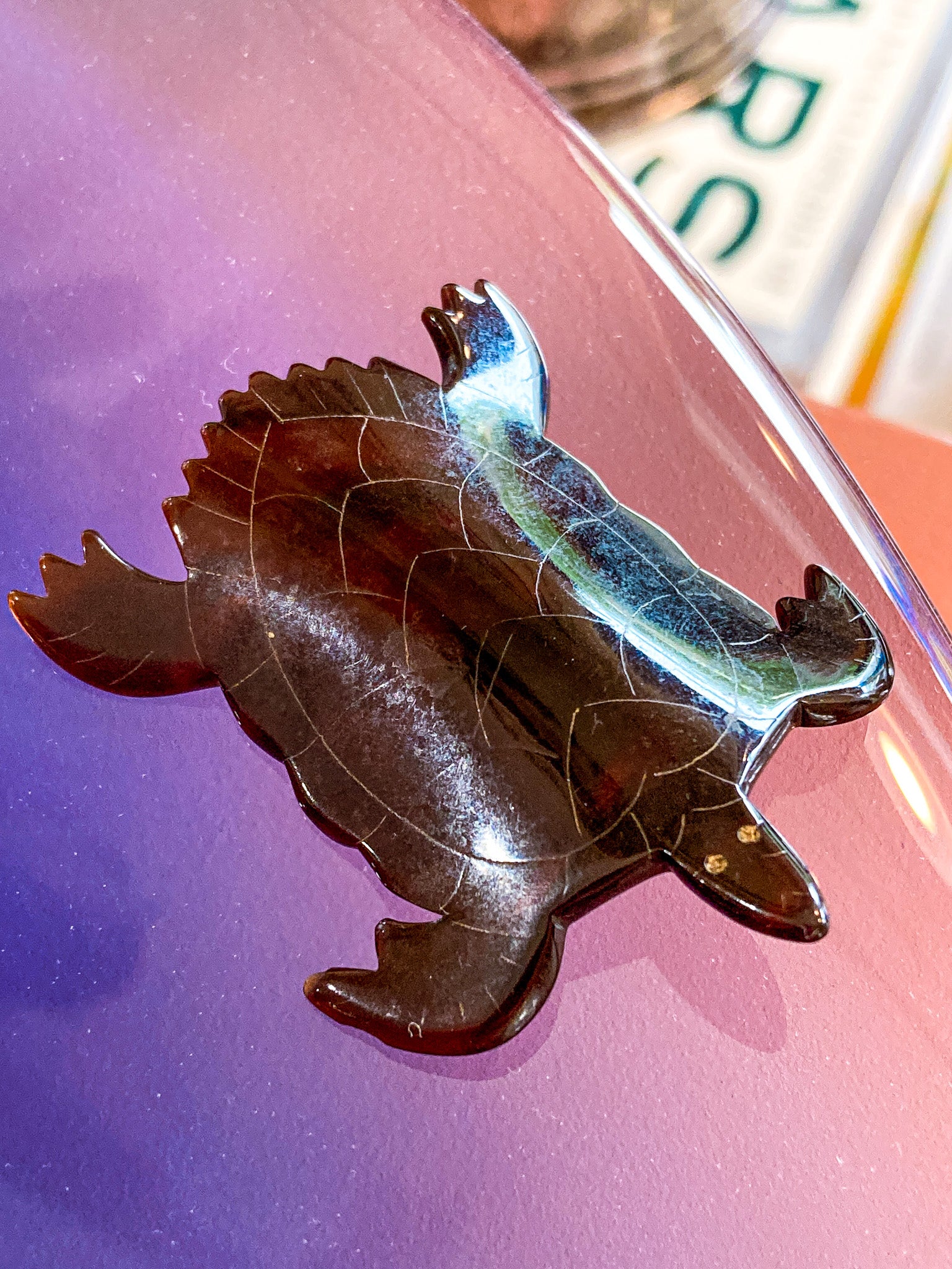 Vintage Turtle Shaped Curved Tortoise Brown Shell Bakelite Brooch Pin